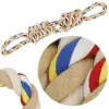 Игрушка для собак Springos PA1066