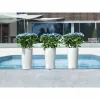 Plant pot Lechuza