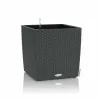 Plant pot Lechuza Black Grey polypropylene