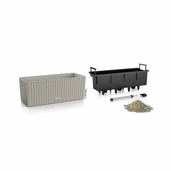 Pušķi Lechuza