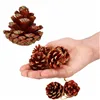 Christmas decoration Springos CA1017 4cm