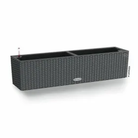 Plant pot Lechuza Black Grey polypropylene