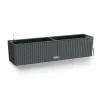 Plant pot Lechuza Black Grey polypropylene