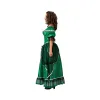 Costume for Adults Southern Lady