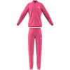 Bērnu Sporta Tērps Adidas  G3S PES TS HM4415 Rozā