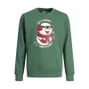 Children’s Sweatshirt without Hood Jack & Jones 12222091 Green