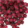 CA0744 ARTIFICIAL RANK FROST DARK RED 12 MM 10-11 CM 20 PCS.