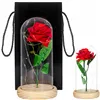 HA5155 ETERNAL ROSE IN GLASS