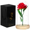 HA5155 ETERNAL ROSE IN GLASS