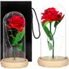 HA5155 ETERNAL ROSE IN GLASS