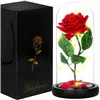 HA5156 ETERNAL ROSE IN GLASS