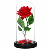 HA5156 ETERNAL ROSE IN GLASS