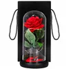 HA5156 ETERNAL ROSE IN GLASS