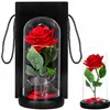 HA5156 ETERNAL ROSE IN GLASS