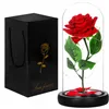 HA5156 ETERNAL ROSE IN GLASS