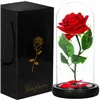 HA5156 ETERNAL ROSE IN GLASS