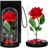 HA5156 ETERNAL ROSE IN GLASS