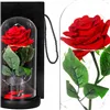 HA5156 ETERNAL ROSE IN GLASS