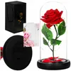 HA5156 ETERNAL ROSE IN GLASS