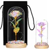 Eternal rose in glass Springos HA5159