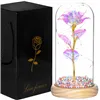 Eternal rose in glass Springos HA5159