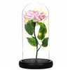 Eternal rose in glass Springos HA5157