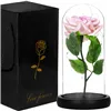 Eternal rose in glass Springos HA5157