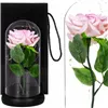 Eternal rose in glass Springos HA5157