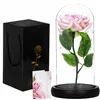 Eternal rose in glass Springos HA5157