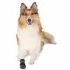 Boots Trixie Walker Care Black L