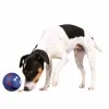 Dog toy Trixie Plastic Snacks