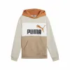 Lasten huppari Puma Essentials Block Ruskea