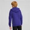 Lasten huppari Puma Essentials+ 2 Col Big Logo Sininen