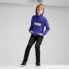 Lasten huppari Puma Essentials+ 2 Col Big Logo Sininen