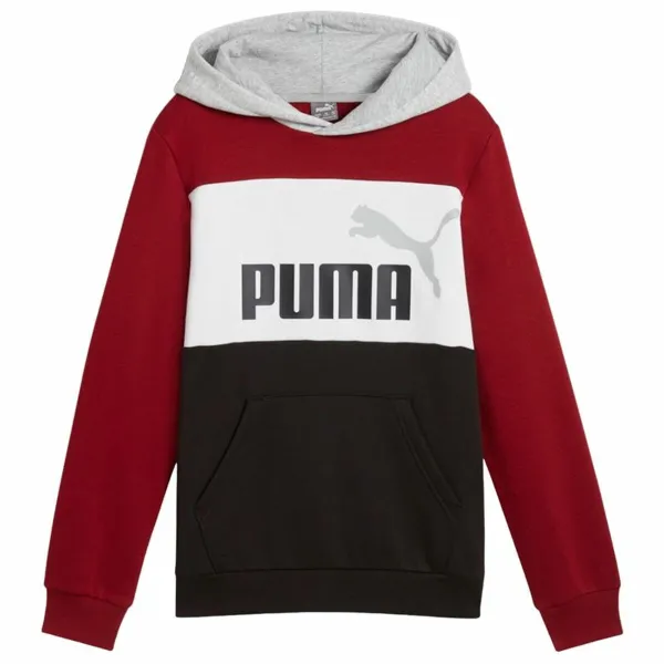 Толстовка с капюшоном детская Puma Essentials Block