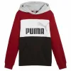 Толстовка с капюшоном детская Puma Essentials Block
