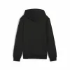 Lasten huppari Puma Essentials+ 2 Col Big Logo Musta