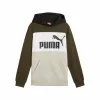 Толстовка с капюшоном детская Puma Essentials Block