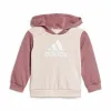 Детский спортивных костюм Adidas Essentials Colorblock Серый Розовый