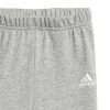 Детский спортивных костюм Adidas Essentials Colorblock Серый Розовый