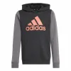 Hooded Sweatshirt for Girls Adidas Essentials Grey