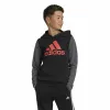 Толстовка с капюшоном для девочек Adidas Essentials Серый