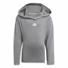 Детский спортивных костюм Adidas And Little Серый Разноцветный