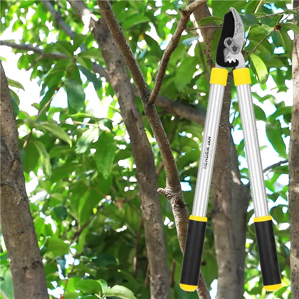 Garden scissors for branches Springos SE0001 62 cm