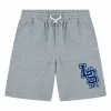 Короткие штаны Levi's Lvb Monogram Темно-серый Детский Мужской