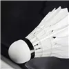 Badminton shuttlecocks Springos KG0009