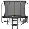 Garden trampoline Springos TP0010 305-312 cm 10ft