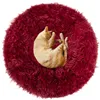 Dog or cat bed Springos PA0156 60 CM