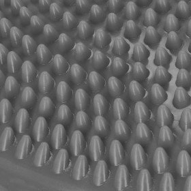 Fitness Sensorinė pagalvė+siurblys Springos FA0078