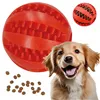 Dog chew toy Springos PA1056